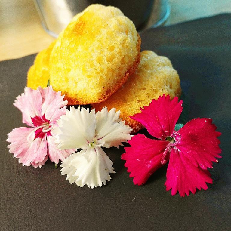 Hotel Libera Caen Colombelles Экстерьер фото